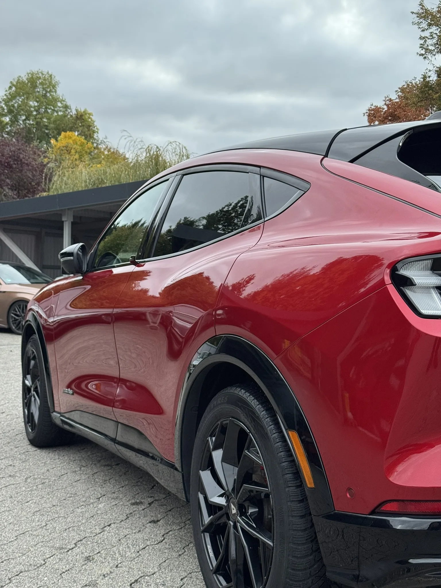 Auto Detailing